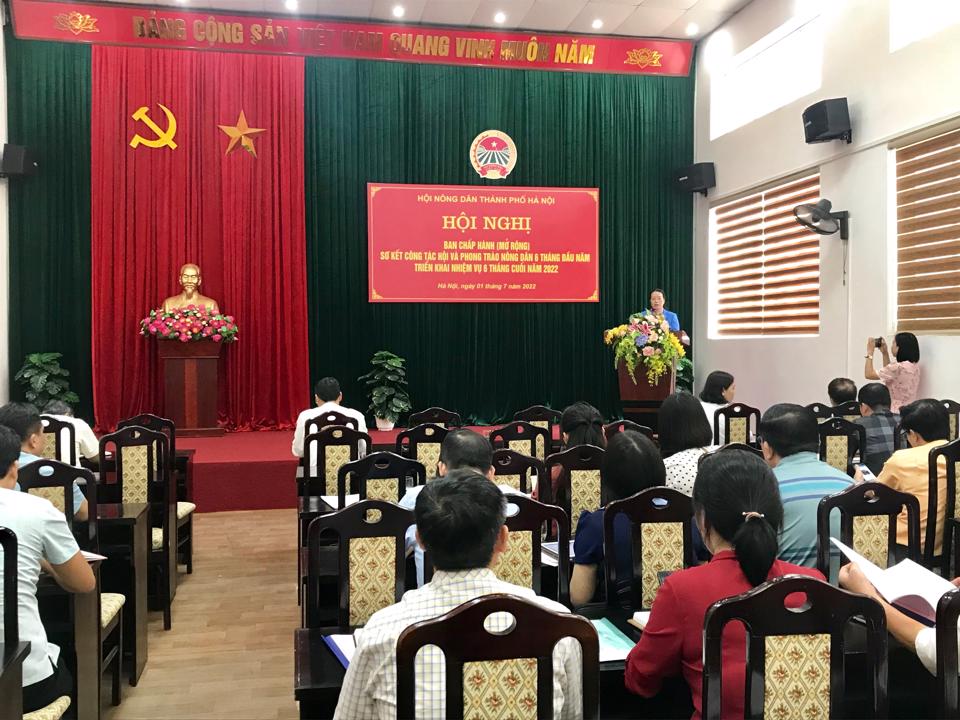 Quang cảnh hội nghị
