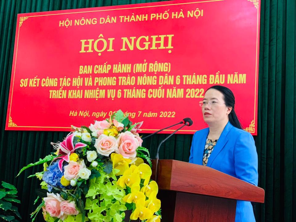 Chủ tịch Hội Nông dân TP Hà Nội Phạm Hải Hoa phát biểu tại hội nghị
