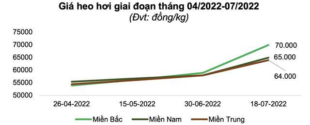 BAF - Thành công từ mô hình chăn nuôi hiện đại - Ảnh 1.