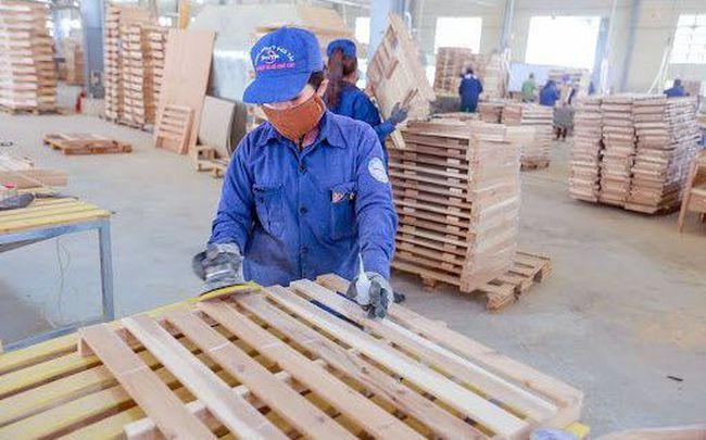 Phú Tài (PTB): Lợi nhuận nửa đầu năm 2022 tăng 31% so với cùng kỳ, đặt mục tiêu lãi 540 tỷ đồng sau 9 tháng Phú Tài (PTB): Lợi nhuận nửa đầu năm 2022 tăng 31% so với cùng kỳ, đặt mục tiêu lãi 540 tỷ đồng sau 9 tháng
