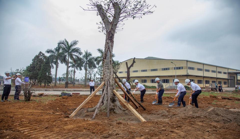 Ban Lãnh đạo Công ty tham gia trồng cây hưởng ứng sáng kiến 1 tỷ cây xanh