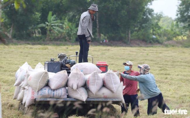 Nông dân dễ dính 'bẫy tín dụng' vì 'đói' vốn