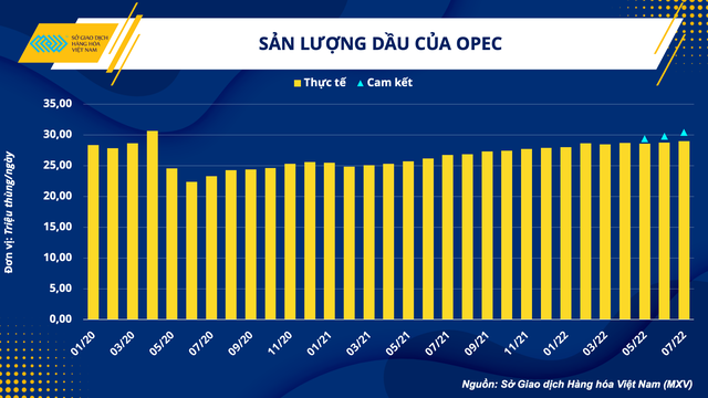 Cuộc họp mới nhất hé lộ điều gì về năng lực sản xuất hiện tại của OPEC ? - Ảnh 2.