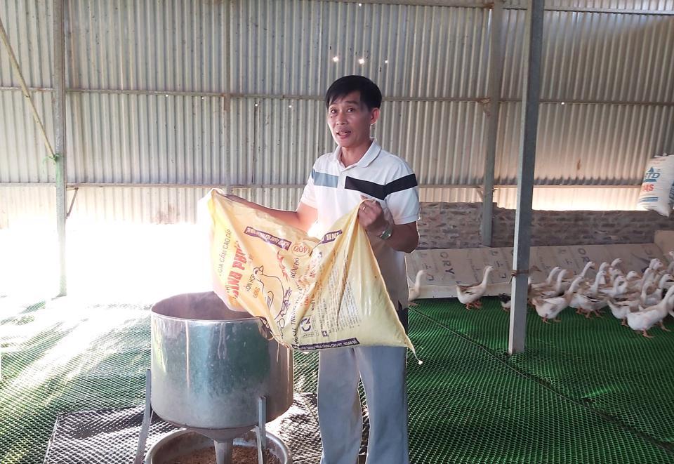 Trang trại nuôi vịt ứng dụng công nghệ cao của hộ ông Lê Văn Trẻo, ở thôn Châu Mai (xã Liên Châu, huyện Thanh Oai).