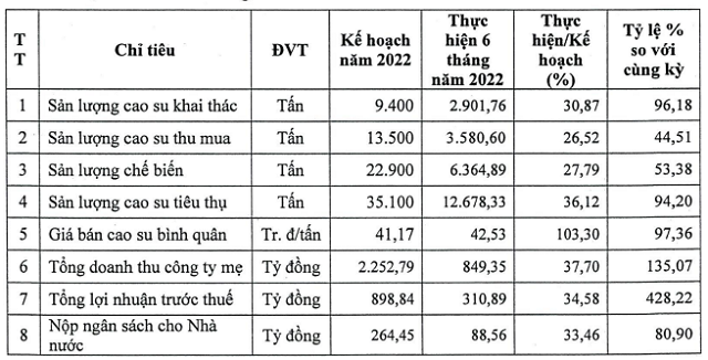 Cao su Phước Hòa tiếp tục đặt mục tiêu lãi 220 tỷ đồng quý III, gấp 3,2 lần cùng kỳ - Ảnh 1.