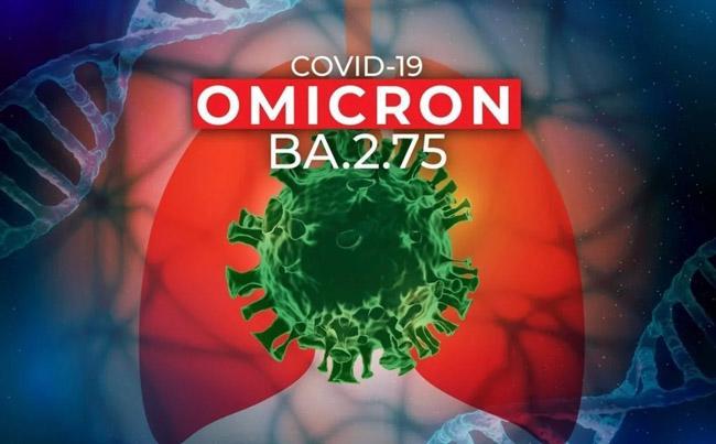 Biến thể phụ BA.2.75 của Omicron có thực sự đáng lo ngại? - Báo Kinh tế đô  thị