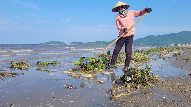 Một số người dân được chính quyền thị trấn Lộc Hà hợp đồng để trục vớt, xử lý bèo tây