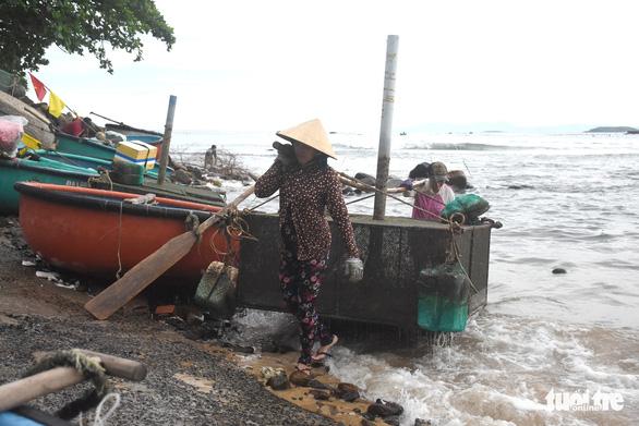 Dân Phú Yên hối hả vớt cả triệu con tôm hùm giống chạy bão số 4 - Ảnh 2.