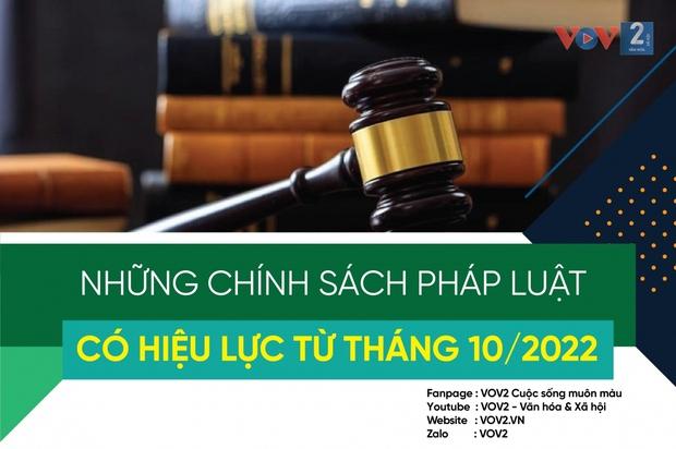 Những chính sách pháp luật có hiệu lực từ tháng 10/2022 - Ảnh 1.