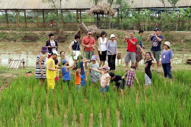 Vì sao du lịch nông nghiệp ở Hà Nội manh mún, nhỏ lẻ? - Ảnh 1.