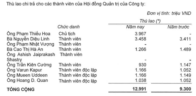 Điều hành Doanh nghiệp tư nhân lãi lớn nhất nước, CEO VinHomes nhận lương bao nhiêu? - Ảnh 2.