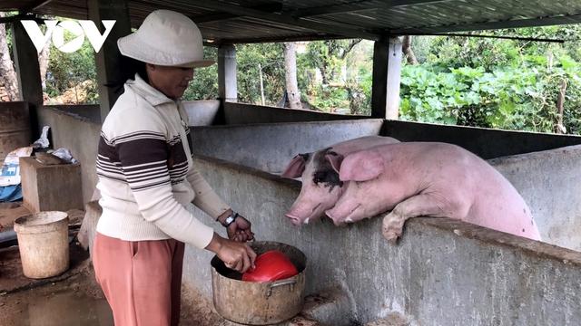 Nghịch lý người nuôi lỗ lớn, giá thịt lợn ở chợ vẫn cao - Ảnh 5.