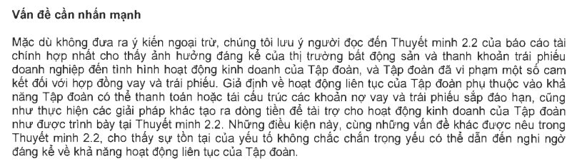 Novaland (NVL) công bố BCTC kiểm toán, lãi sau thuế giảm 111 tỷ so với báo cáo tự lập - Ảnh 4.