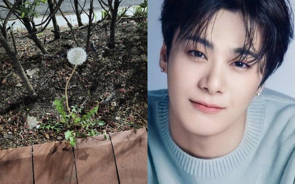 Người hâm mộ xót xa về bài đăng ẩn ý việc muốn tự do của Moonbin ASTRO