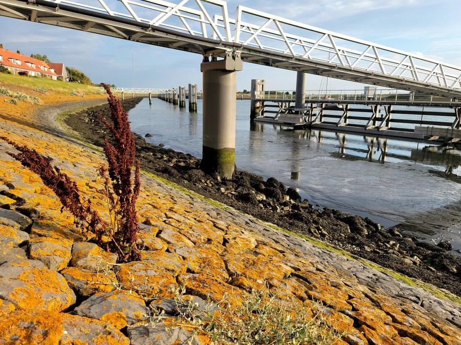 Ảnh chụp ngày 15.8.2022 cho thấy một phần của Afsluitdijk, con đập ngăn cách hồ IJsselmeer và biển Wadden, ở Hà Lan. Ảnh: Xinhua