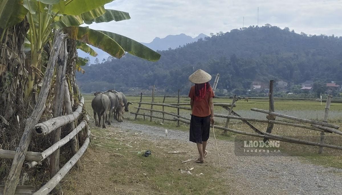 Nông thôn mới ở miền núi: Chín ép khó bền