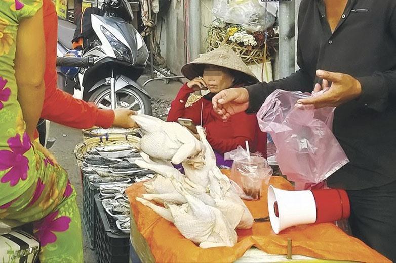 Gà thải loại tuồn ồ ạt vào Việt Nam. Ảnh Minh Quân