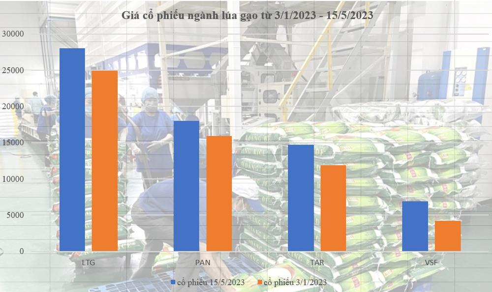 Quý kinh doanh 'buồn' của doanh nghiệp lúa gạo - Ảnh 2.