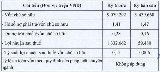 "Con cưng" của Đất Xanh (DXG) báo lãi năm 2022 giảm sâu 96% - Ảnh 1.