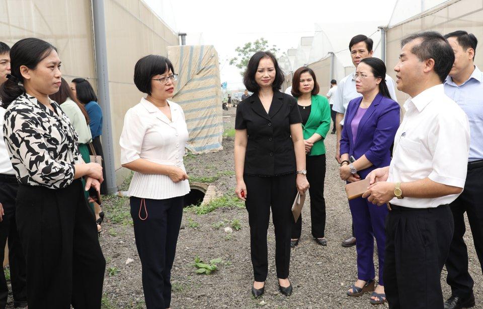 Trước khi diễn ra phiên chất vấn, các Ban HĐND thành phố đã tiến hành giám sát tại địa bàn các quận, huyện