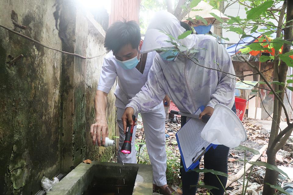 Các địa phương trên địa bàn Hà Nội  tập trung quyết liệt việc diệt muỗi, diệt bọ gậy.