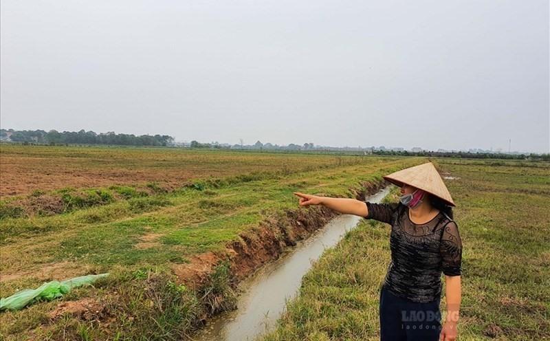 Điều kiện và thủ tục chuyển nhượng đất nông nghiệp