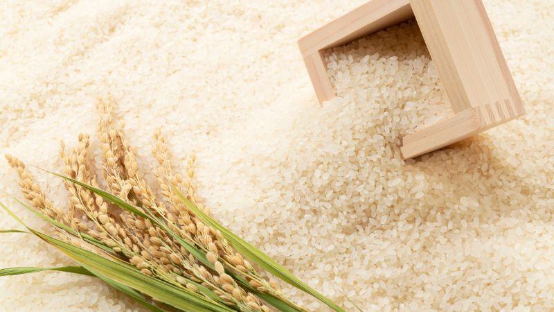 Giá gạo xuất khẩu đạt mức kỷ lục trong nhiều năm trở lại đây.