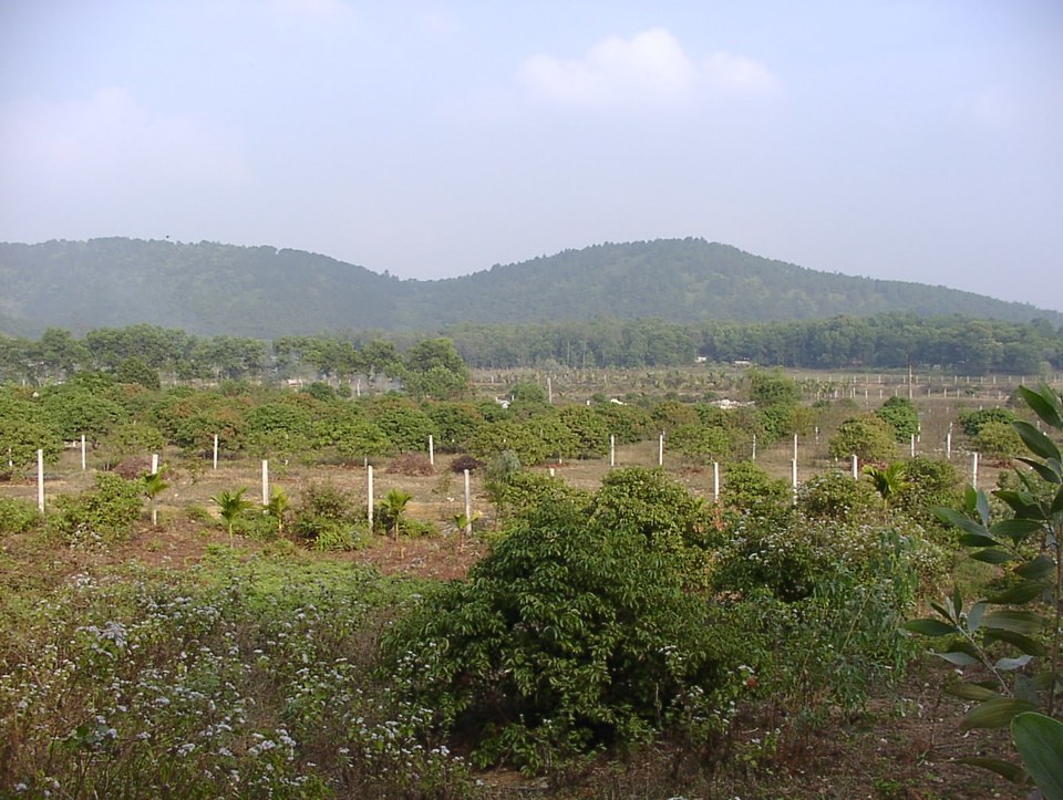 Thuế sử dụng đất phi nông nghiệp đã có sự gia tăng đáng kể sau 11 năm triển khai. Ảnh: Hải Linh