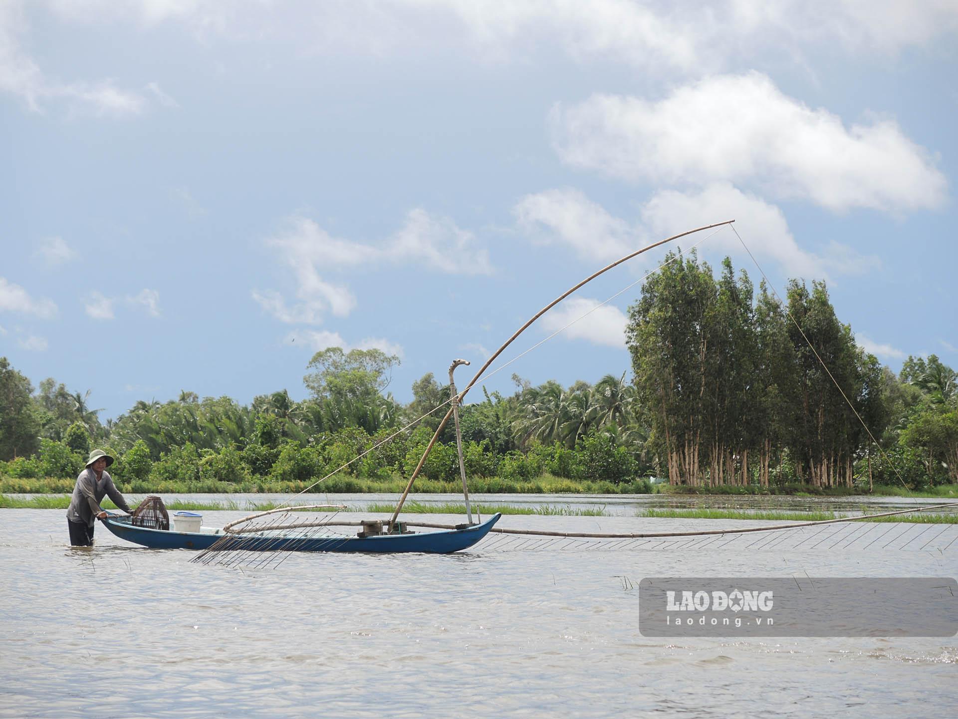 Mùa nước nổi, nông dân xã Vĩnh Quới (Ngã Năm, Sóc Trăng) làm nhiều nghề như giăng lưới, đẩy côn, đặt lú,..