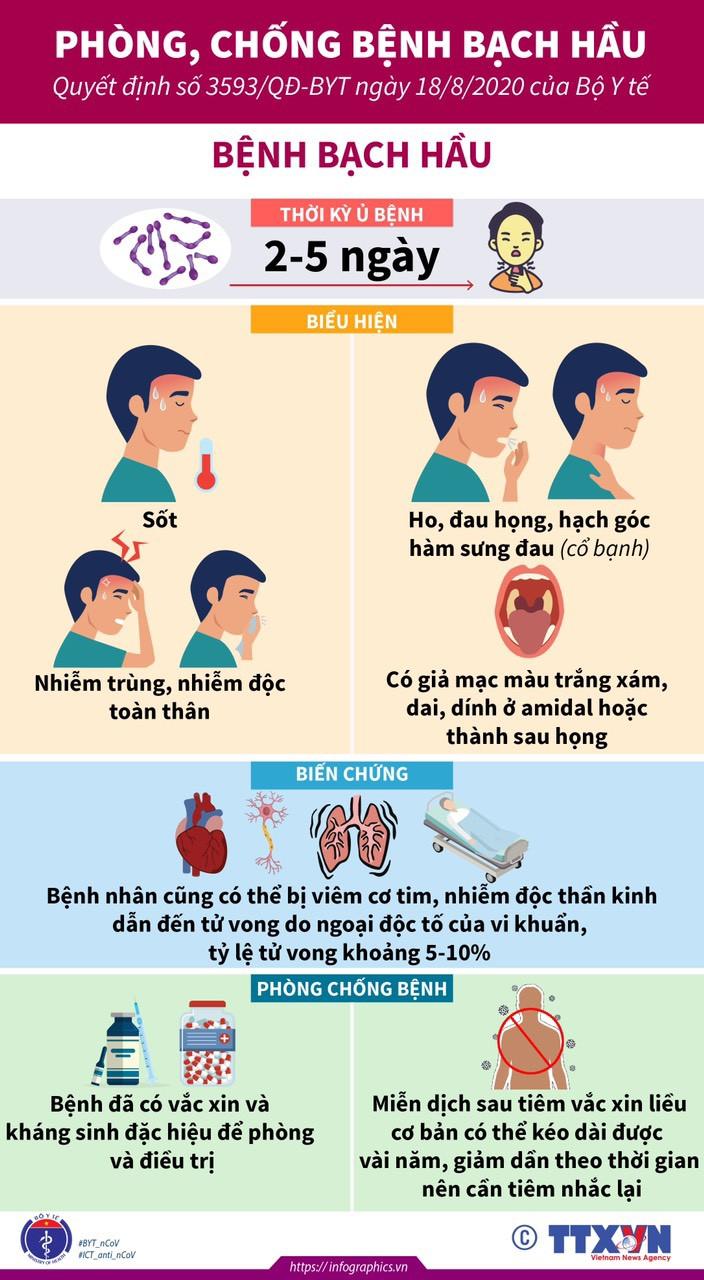 Bộ Y tế khuyến cáo phòng, chống bệnh bạch hầu - Ảnh 2