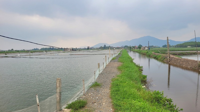 Hầu hết hệ thống ao hồ nuôi  trồng thủy sản ở Hà Tĩnh đều được gia cố, nâng cấp đảm bảo an toàn