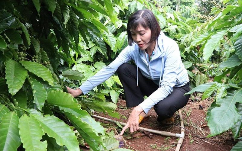 Chị Mai Thị Nhung hướng dẫn việc sử dụng vỏ chai nhựa để đo độ ẩm của đất trong quá trình canh tác, giúp tiết kiệm lượng nước tưới tiêu. Ảnh:  Nestlé