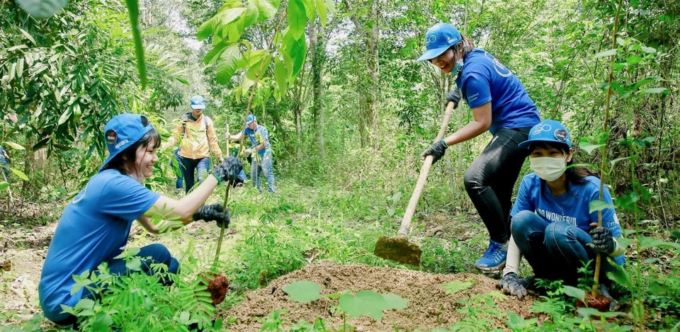 Nguồn lực xã hội hoá góp phần phát triển hàng chục ngàn héc-ta rừng. Ảnh: GAIA Việt Nam.