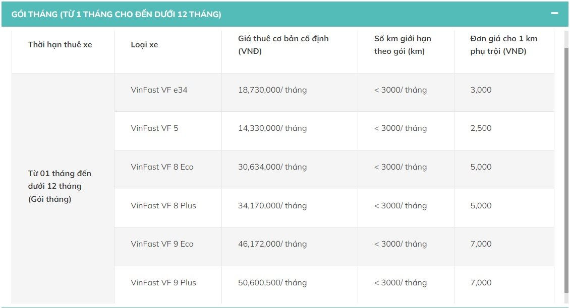 Xanh SM tung dịch vụ cho thuê xe ngày Tết, cao nhất 34,4 triệu đồng cho 10 ngày - Ảnh 3.