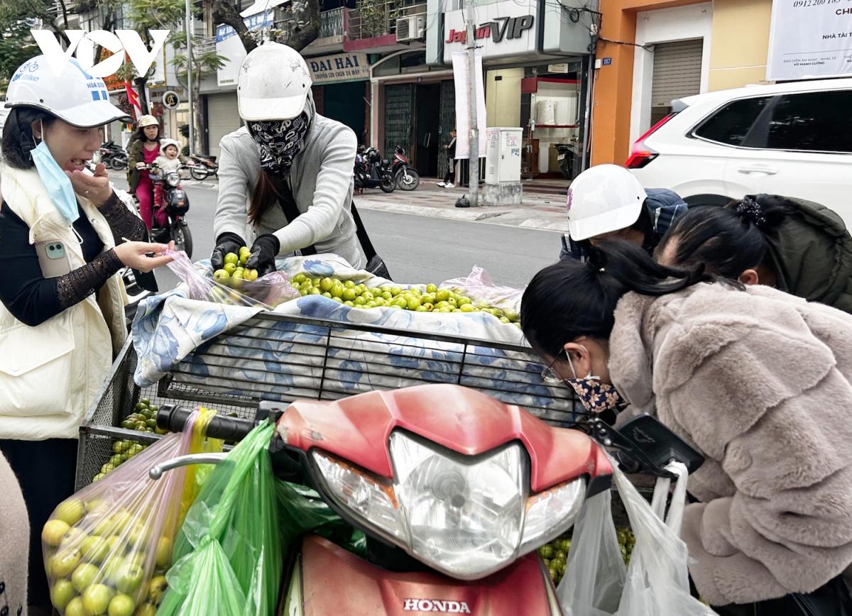 Thăm vườn táo muối đặc sản được "săn lùng" dịp Tết ở Hải Phòng - Ảnh 14.