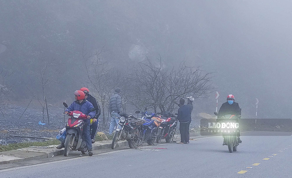 Đã có những khách hàng đầu tiên mua cành đào về trang trí Tết.