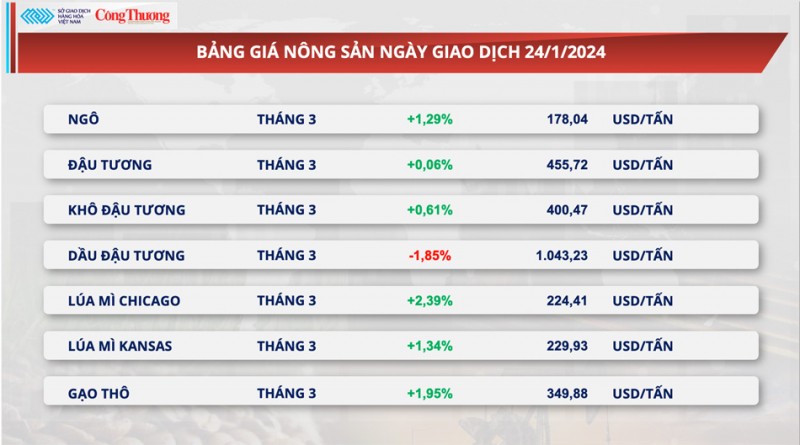 Thị trường hàng hóa hôm nay ngày 25/1: Tồn kho dầu Mỹ giảm mạnh, ngô phá vỡ xu hướng giằng co