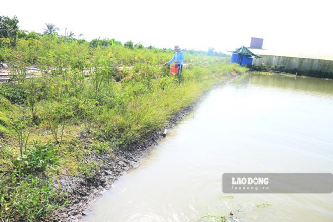 Xâm nhập mặn vào sâu, nông dân tích trữ nước để ứng phó