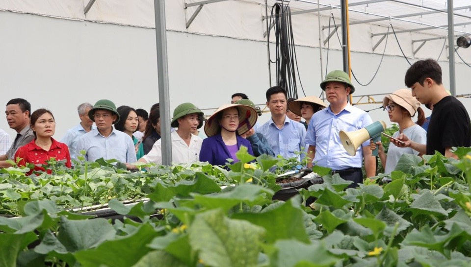 Đoàn đại biểu thành phố Hà Nội tham quan mô hình nông nghiệp ứng dụng công nghệ cao tại Viện Khoa học Nông nghiệp Việt Nam năm 2023.