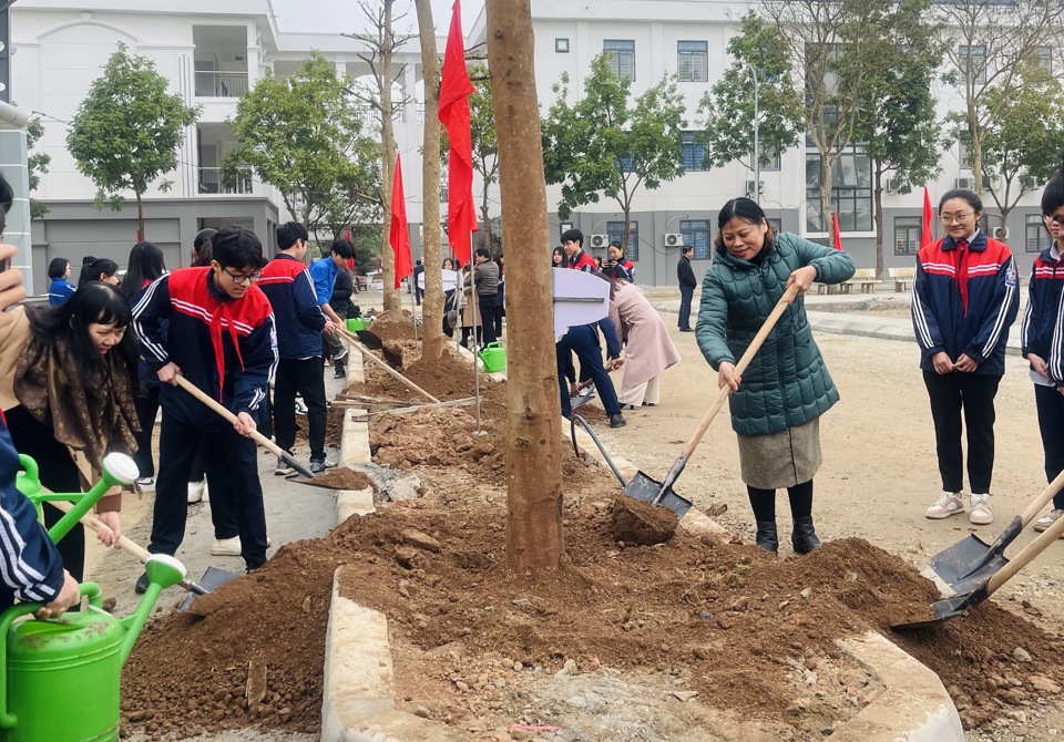 Thầy cô, học sinh cùng tham gia trồng cây