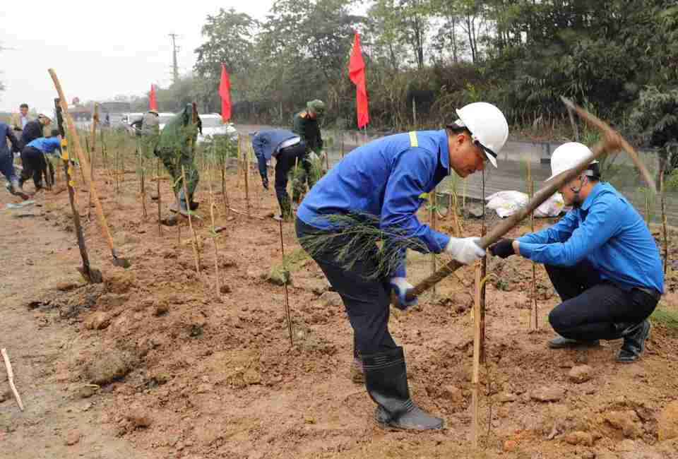 Vũ Văn Hưng-BTDU Giám đốc thực hiện trồng cây sau khi phát biểu.