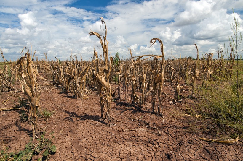 El Nino khiến Trái đất nóng kỷ lục.