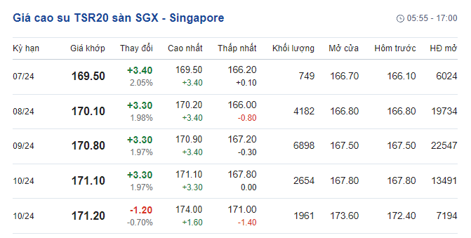 Giá cao su ngày 24/5/2024: Tiếp tục tăng cao