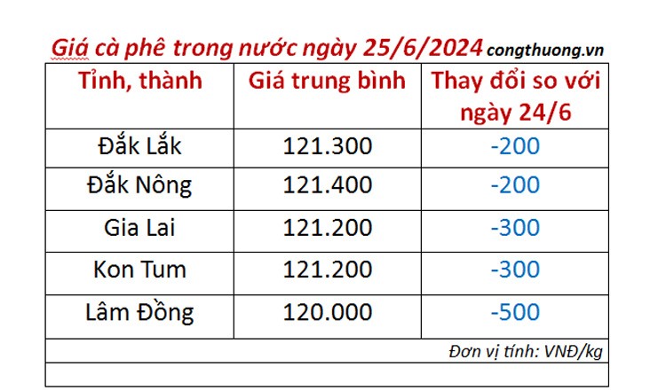 Giá cà phê hôm nay 25/6/2024: