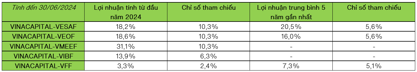 loi-nhuan-quy-mo-vinacapital.png