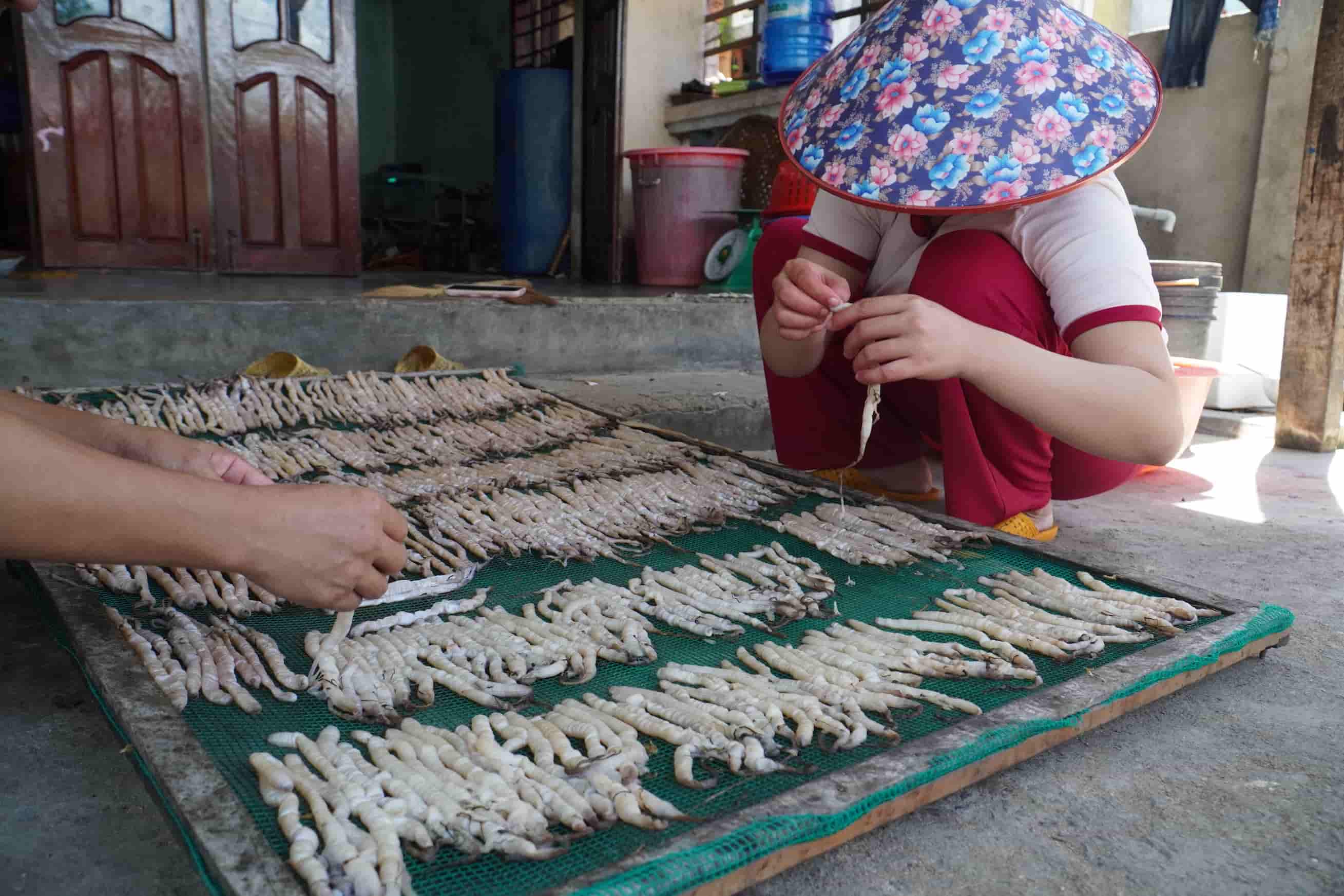 Ông Nguyễn Minh Nhật, Chủ tịch UBND P. Ninh Hà, cũng đánh giá làng Hà Liên có nhiều tiềm năng để phát triển du lịch, với sự độc đáo về vị trí, sở hữu nhiều thắng cảnh đẹp, hệ sinh thái biển đa dạng. “Hiện UBND TX. Ninh Hòa đang đẩy mạnh phát triển du lịch ở khu vực đầm Nha Phu, trong đó có làng Hà Liên”, ông Nhật thông tin.