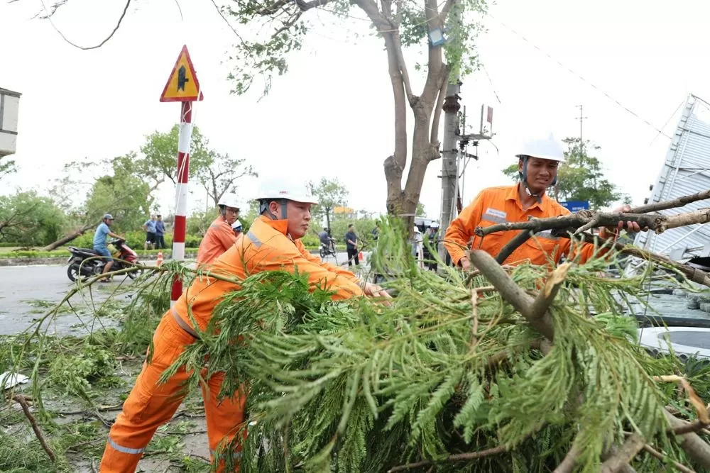 Điện lực Hải Phòng 'dồn lực' khắc phục nhanh các sự cố, cấp điện trở lại cho nhân dân