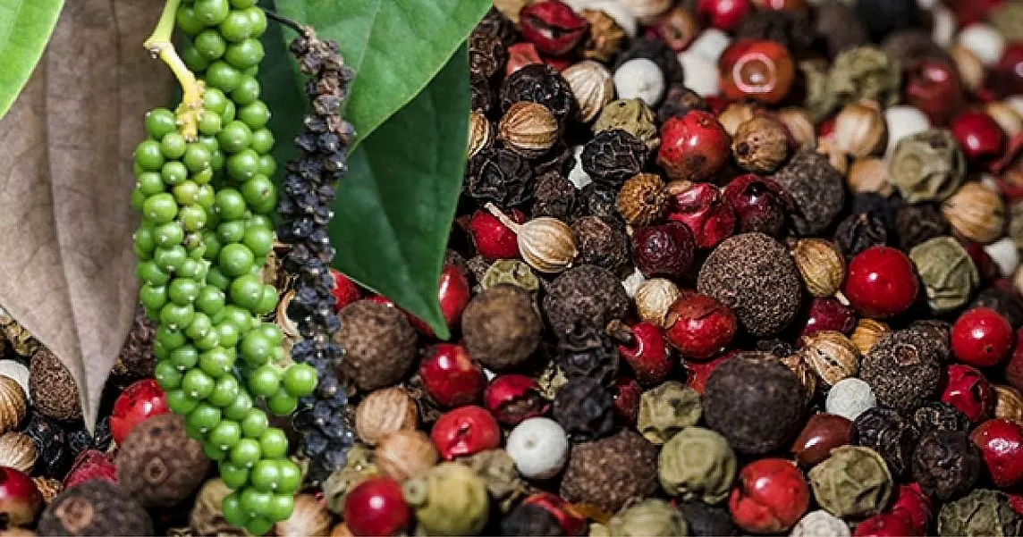 Giá xuất khẩu hồ tiêu tháng 9 đạt mức kỷ lục 6.2339 USD/tấn. (Ảnh: N.H) Giá xuất khẩu hồ tiêu tháng 9 đạt mức kỷ lục 6.2339 USD/tấn. (Ảnh: N.H)