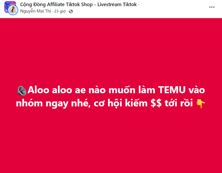 Temu chi hoa hồng 30% hút người Việt tham gia tiếp thị liên kết, chuyên gia nói không