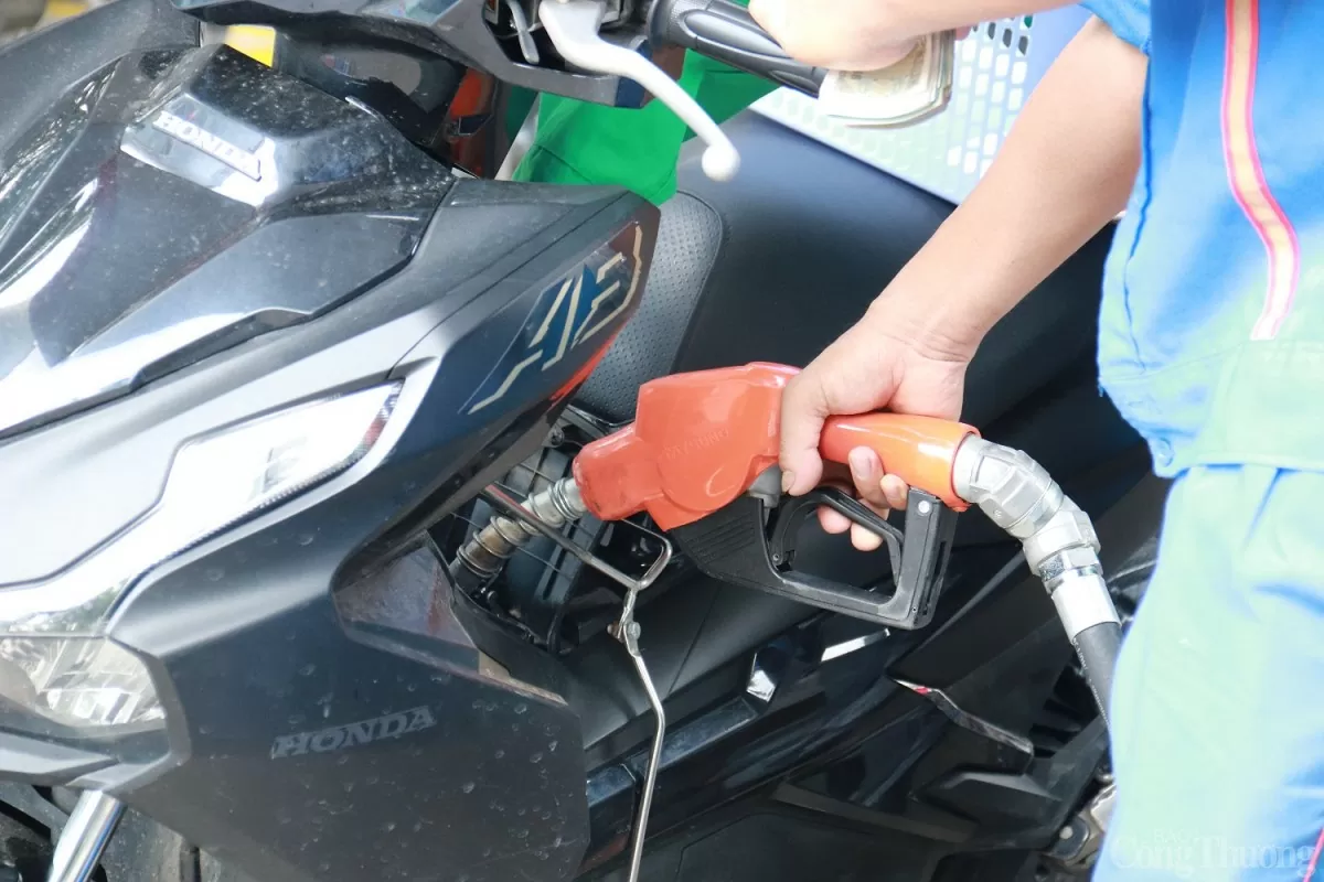 Giá xăng dầu hôm nay 12/12/2024 Giá xăng dầu hôm nay 12/12/2024